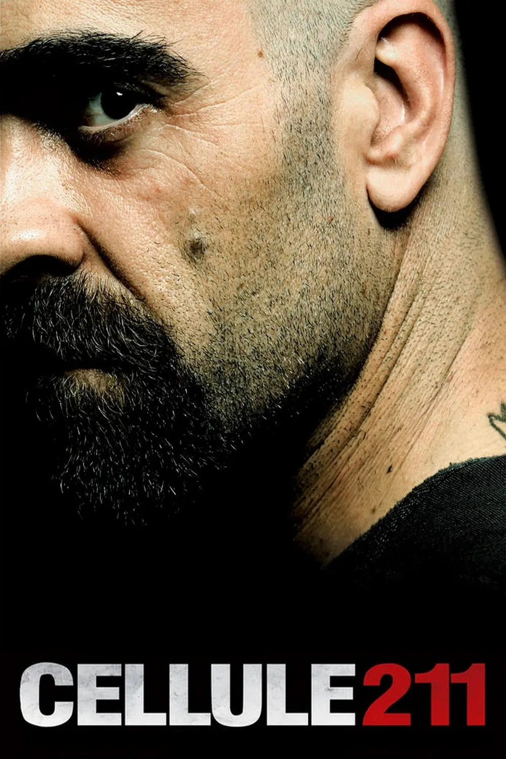 Cellule 211 (2009)